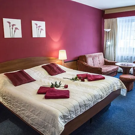 Hotel Centrum 3*